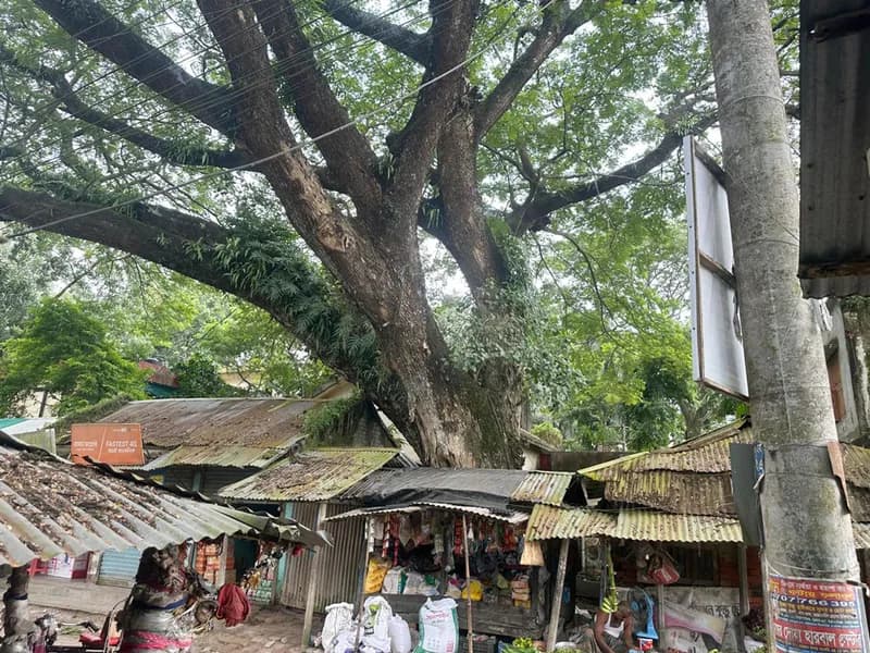 সদর বাজারের পাশে ৫ শতক জমি